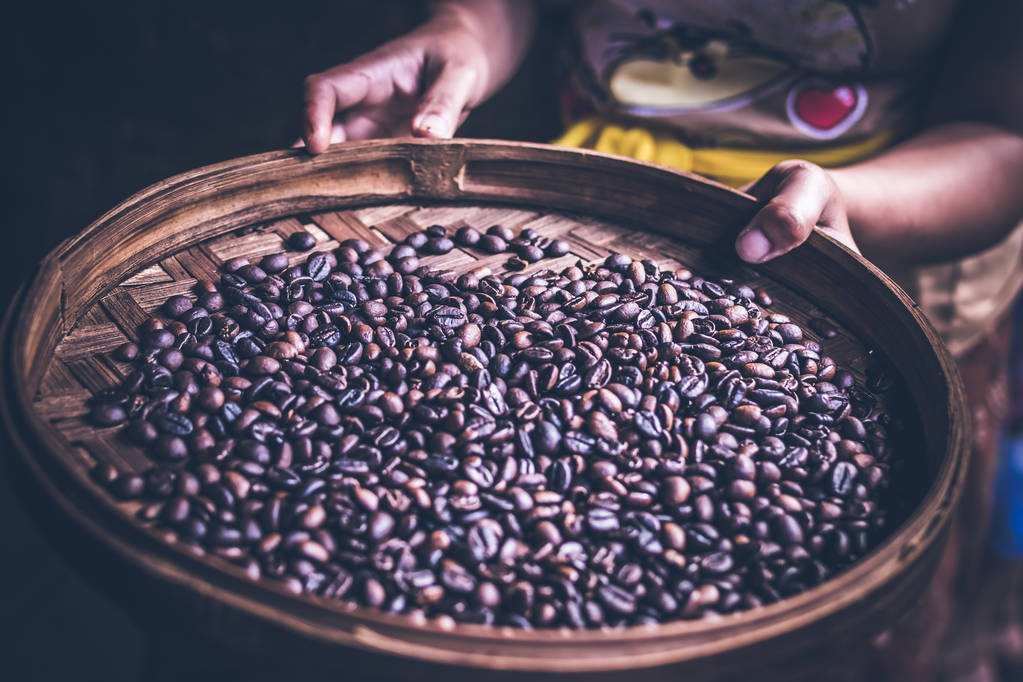 インドネシア産コーヒー豆